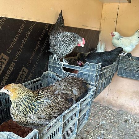 La Villagio Parmain Dış mekan fotoğraf