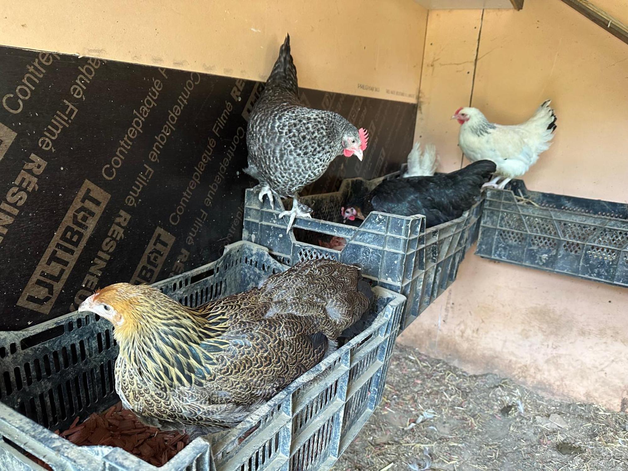 La Villagio Parmain Dış mekan fotoğraf